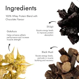 kapiva ayurveda Kapiva TestoFuel Shilajit Whey Protein, 5.5g BCAA, Faster Absorption - Cookies & Cream image 5