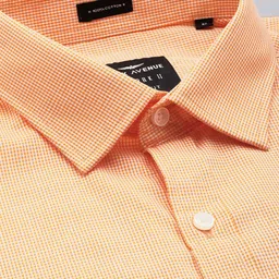 Park Avenue Slim Fit Micro Checks Pure Cotton Formal Shirt image 4