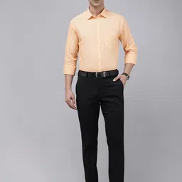 Park Avenue Slim Fit Micro Checks Pure Cotton Formal Shirt image 2