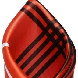 Alvaro Castagnino Men Orange Checked Pocket Square image 4