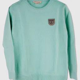 PURPLE UNITED KIDS Woven Full Sleeves Patch Detailed Sweater - Light Green-picture-23