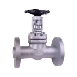 Leader 1 Inch, 25 mm Forged Cast Steel Wheel Operated Gate Valve FCS 040-image-76