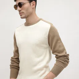 The Roadster Life Co. Colourblocked Round Neck Acrylic Pullover-image-47