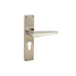 Godrej Door Handle Set 2C NEH 19 Satin Steel, 2660-image-33