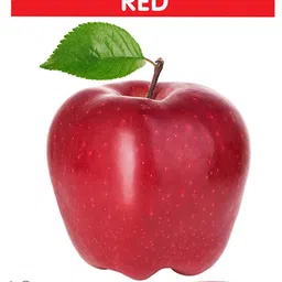 sawan Colours Wipe and Clean Picture Board Book - English image 3