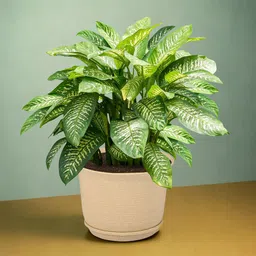 Kuber Industries Beige 10 Pieces Textured Planters With Plate image 2