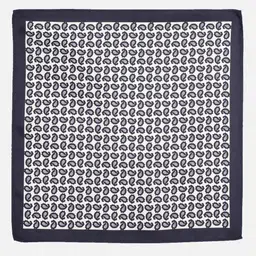 Van Heusen Paisley Printed MicrofiberPocket Square image 2