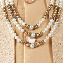 Arshia Fashions Boys Embroidered Mandarin Collared Sherwani image 2