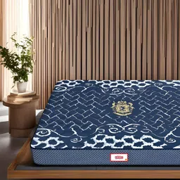 COIRFIT Blue & White Printed Quilted Cotton Orthopedic Queen Size Mattress-picture-27