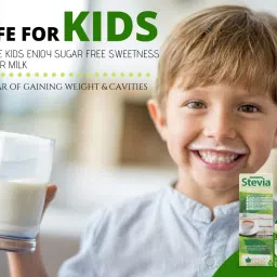 Bliss of Earth 99.8% REB-A Stevia Powder image 3