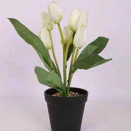 Home Bloom White 1 Pieces Artificial Plant With Pot image 3