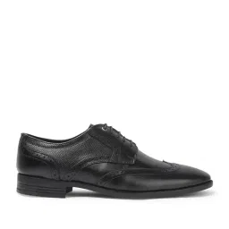 Carlton London Men's Black Brogue Shoes image 2