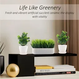 Myntra Elegant Homes White 6 Pieces Artificial Plant With Pot image 2