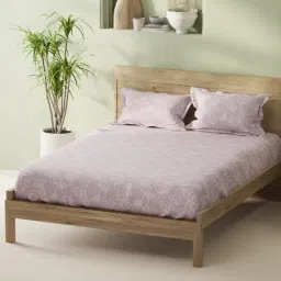 Bianca Baby Pink Cotton Floral 144 TC King Bedsheet with 2 Pillow Covers-picture-19