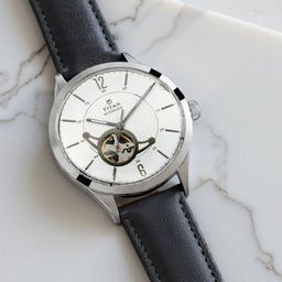 Titan Mechanical Men Silver Analogue watch 90111SL01-picture-46