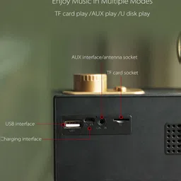 Walrus Woodpecker USP Speaker image 4