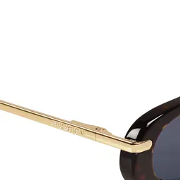 Hidesign Women Oval Sunglasses with Polarised Lens 8903439896300 image 2