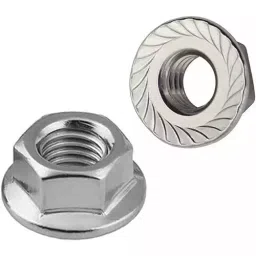 B K JAGAN & CO 5 mm GI Flange Nuts (Pack of 100)-picture-44