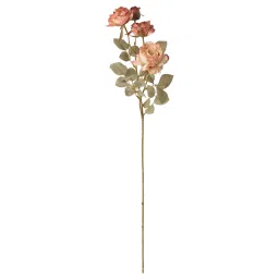 ikea smycka Artificial flower, in/outdoor/Rose golden-brown, 63 cm image 1