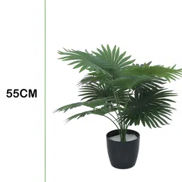 Home Bloom Green & Black Artificial Fan Palm Plant With Pot image 3
