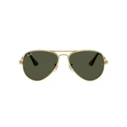 Ray-Ban Unisex UV Protected Green Lens Aviator Sunglasses - 0RB3925001/3158-image-20