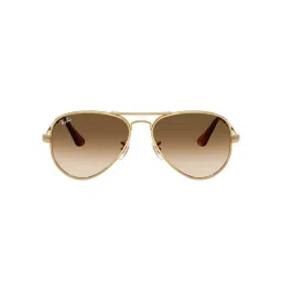 Ray-Ban Unisex Gradient Brown Lens Aviator Sunglasses - 0RB3925001/5158-image-41