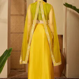 Sangria Embroidered Zari Sequinned Top With Pleated Dhoti & Shrug Co-Ords Set image 5