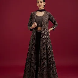 MOHEY Embellished Sequinned Ready to Wear Lehenga & Blouse With Dupatta-picture-10