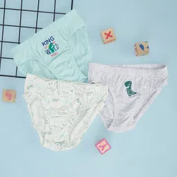 Pantaloons Junior Boys Pack Of 3 Typography Printed Cotton Anti Bacterial Basic Briefs-picture-27