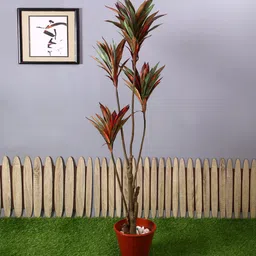 casacraft from pepperfry Green Polyester Artificial Draceana Plant Without Pot image 1