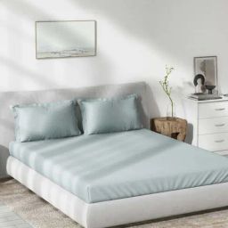 DDecor Solid Blue 180 TC Cotton King Bedsheet with 2 Pillow Covers-picture-40