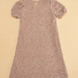Pantaloons Junior Rose Gold Embellished Dress image 4