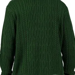 HERE&NOW Men Self Design V-Neck Long Sleeves Slim Fit Pullover Sweaters image 3