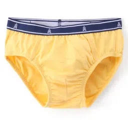 Pine Kids Cotton Lycra Knit Briefs Pack of 3 (Color & Print May Vary) image 2