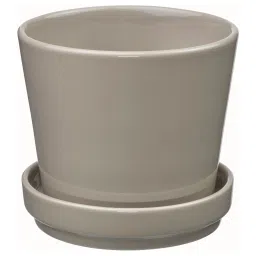 ikea klotlönn Plant pot with saucer, in/outdoor/grey/beige, 9 cm-picture-17