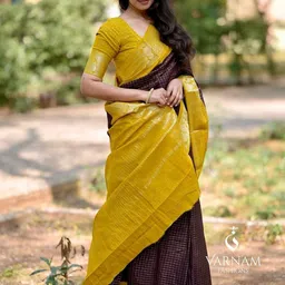 CaniBani Woven Design Zari Silk Blend Handloom Banarasi Saree image 2