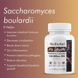 Meibotan 16 Strains Probiotics Capsules - 60 Capsules image 4