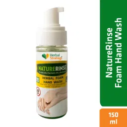 Herbal Strategi 150ml Disinfectant Foam Hand Wash image 2