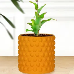 LASAKI Bubble Orange Small Lily Ceramic Planters-image-5