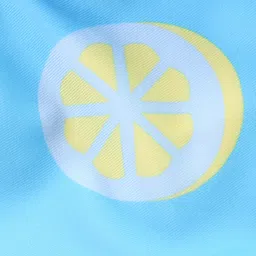 Babyhug Swimming Trunk Lemons Print - Blue image 4