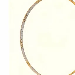SANAA CREATIONS Unisex Gold-Plated Choker Necklace image 2