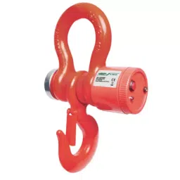 Insize Wireless Electronic Crane Scale 10000 Kg Range, 8205-10T-picture-15