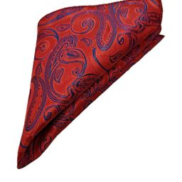 VOICI Printed Microfiber Pocket Squares-picture-16
