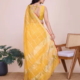 Panzora Checked Zari Saree image 2