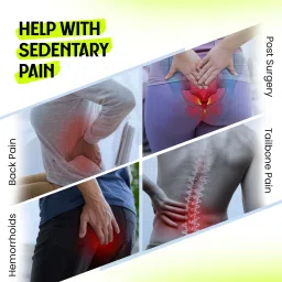 SLEEPSIA Memory Lumbar Support Backrest Cushion & Donut Pillow (Set Of 2) image 5