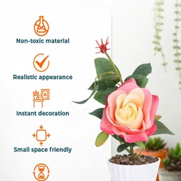 Kuber Industries Peach-Coloured & Green Rose Flower Plant With Pot image 2
