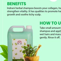 Indrani Cosmetics Herbal Shampoo With Conditioner - 5 Litres image 4