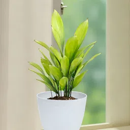 Kuber Industries White & Beige 6 Pieces Marble Finish Planters image 5