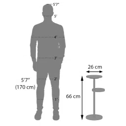 urban ladder Palmer Drink Table In Gold Finish image 7