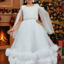 Aarika Net Maxi Dress-picture-49